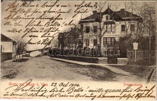 1904 Wien, Vienna, Bécs XXIII. Mauer, Promenadeweg, Rittlergasse