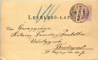 1898 (Vorläufer) Körmöcbánya, Kremnitz, Kremnica; Szent István ünnepi mulatóhely a tóval / kiosk wit...