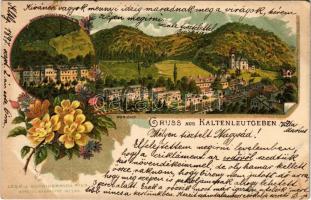1897 (Vorläufer) Kaltenleutgeben, Morizhof, Wasserheilanstalt Winternitz / villa, spa. Lesk u. Schwidernoch No. 294. Art Nouveau, floral, litho (EK)