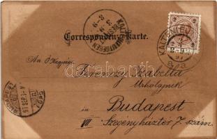 1897 (Vorläufer) Kaltenleutgeben, Morizhof, Wasserheilanstalt Winternitz / villa, spa. Lesk u. Schwi...