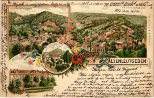 1897 (Vorläufer) Kaltenleutgeben, Morizhof / villa, spa. SRudolf Weber Art Nouveau, floral, litho