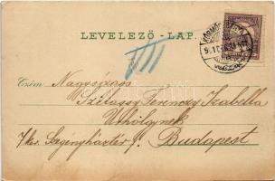 1901 Körmöcbánya, Kremnitz, Kremnica; Zólyomvölgyi nyaraló, Vadászkürt szálloda / villa, hotel (kis ...