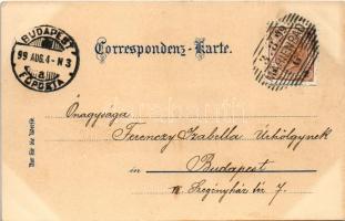 1899 (Vorläufer) Mariánské Lázne, Marienbad; Kreuzbrunn Promenade, Kathol. Kirche, Neubad / spring, ...