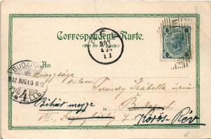 1902 Mauterndorf i. Lungau, Schloss Mooshamm / castle. Art Nouveau, floral, litho (EK)