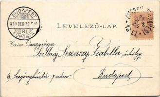 1899 (Vorläufer) Újvidék, Novi Sad; Pétervárad vár, Erzsébet tér, Központi hitelintézet, Központi sz...