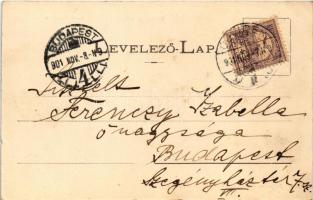 1901 Újvidék, Novi Sad; Pétervárad vár, nyitott pontonhíd elhaladó gőzhajóval. J. Singer kiadása / G...