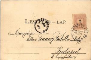 1899 (Vorläufer) Újvidék, Novi Sad; Magyar állami polgári és felső kereskedelmi iskola. Singer Josef...