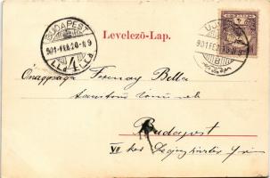 1901 Újvidék, Novi Sad; Petőfi utca. J. Singer kiadása / street view (kis szakadás / small tear)