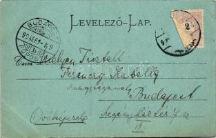 1899 (Vorläufer) Újvidék, Novi Sad; Fő utca / main street (EK)