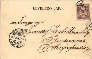 1901 Újvidék, Novi Sad; Fő utca, templom / Hauptstrasse / main street, church