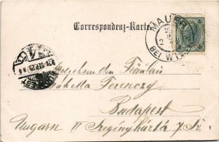 1904 Wien, Vienna, Bécs XXIII. Mauer, Wienerstrasse, Rathaus / street, town hall