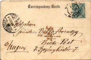 1904 Wien, Vienna, Bécs XXIII. Mauer, Wienerstrasse, Rathaus / street, town hall (fl)