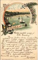 1896 (Vorläufer!!!) Abbazia, Opatija; Kunstanstalt Rosenblatt Art Nouveau, floral, litho (EK)