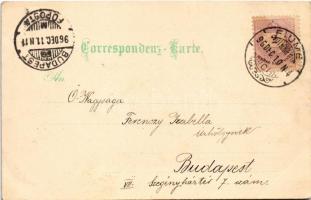 1896 (Vorläufer!!!) Abbazia, Opatija; Kunstanstalt Rosenblatt Art Nouveau, floral, litho (EK)