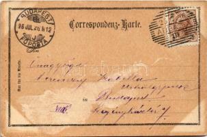 1896 (Vorläufer!!!) Abbazia, Opatija; Photogr. Kunstverlag Rich. Hartmann Art Nouveau, floral (EK)