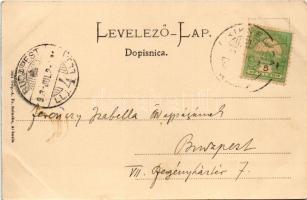 1903 Crikvenica, Cirkvenica; Kinderheim / orphanage, bridge, washerwomen