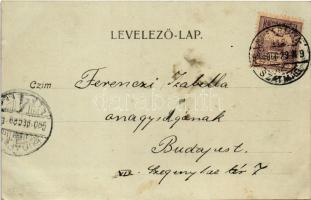 1900 Nagybánya, Baia Mare; Kereszthegyi külváros. Molnár Mihály kiadása / Dealul Crucii (fl)