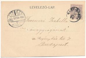 1900 Nagybánya, Baia Mare; Széchenyi liget, vendéglő. Molnár Mihály kiadása / park, restaurant