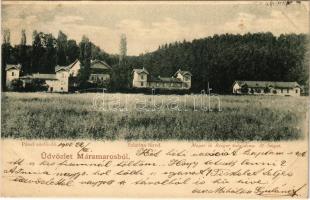 1900 Szlatinafüred, Slatina (Aknaszlatina, Solotvyno; Máramaros); Pável sósfürdő. Mayer és Berger tulajdona / spa (EK)