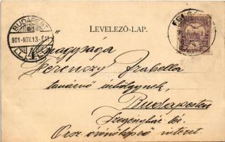 1901 Priszlop-hegység, Prislop (Máramaros, Maramures); Kaufmann Ábrahám kiadása (EK)