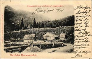 1901 Priszlop-hegység, Prislop (Máramaros, Maramures); Útkaparói lak. Kaufman Ábrahám kiadása / mountain hut (EK)