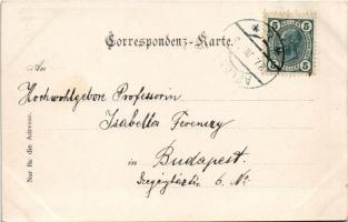1903 Feistring (Aflenz), Müllnerwirth