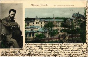 1903 Dresden, Weisser Hirsch (Weißer Hirsch); Sanatorium Dr. Lahmann, Dr. med. Lahmann