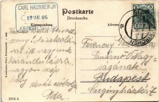 1906 Rekawinkel (Pressbaum), Bahnhof / railway station, train, locomotive