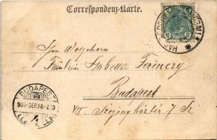 1905 Wien, Vienna, Bécs XIV. Penzing, Hadersdorf-Weidlingau, Kaiser Franz Joseph I. Jubiläums Volkss...