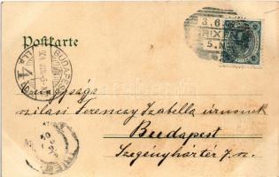 1904 Gruss aus... Vollguss, Oberguss, Schenkelguss, Wassertreten im Bache / Fürdővendégek, humor / S...