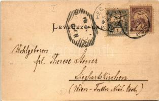 1901 Budapest I. Krisztinaváros, Tabán a Gellérthegyről nézve. Ganz Antal 32. (EK)