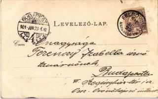 1901 Felsővisó, Viseu de Sus; Vasér völgye, Paltini barlang. Joerges A. özv. és fia kiadása (Selmecb...