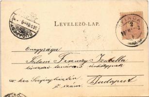 1900 Temesvár, Timisoara; Ferenc József ligeti részlet / Partie Franz Josef-Park / park. Art Nouveau...