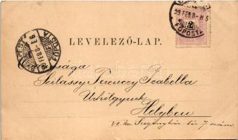 1899 (Vorläufer) Kolozsvár, Cluj; új megyeház. Ferencz és Társa fényképészeti műterméből / new count...