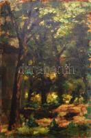 D Roman (?) jelzéssel: Erdei fények. Olaj, falemez, 48x32 cm