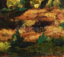 D Roman (?) jelzéssel: Erdei fények. Olaj, falemez, 48x32 cm