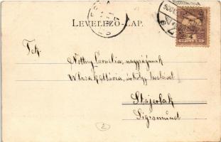 1900 Budapest VI. Andrássy út, Opera, Pikler A. kávéháza az Operához