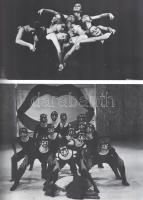 Mészáros Tamás:
Markó táncszínháza. (Marton Lászlónak dedikált album.)
(Budapest, 1984. Múzsák Köz...