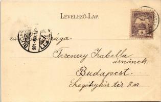 1901 Hátszeg, Hateg; Fő tér, Popovits és Fiai, Groszeck Károly üzlete és saját kaidása / main square...