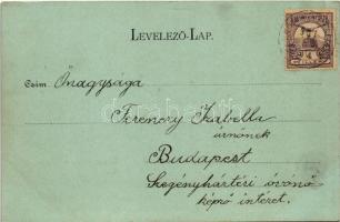 1901 Hátszeg, Hateg; látkép a Retyezáttal. Groszeck Károly kiadása / general view