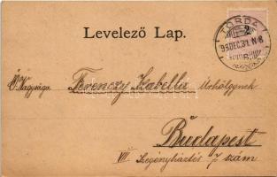 1898 (Vorläufer) Torda, Turda; Torda-Aranyos vármegyeháza, sóbánya bejárata, híd, Tordai hasadék / T...