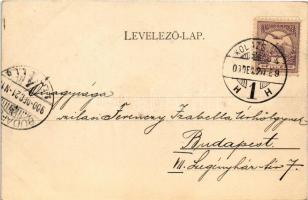 1900 Kolozsvár, Cluj; M. kir. állami tanítónőképző intézet. Dunky Fivérek cs. és kir. udvari fénykép...