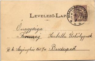 Felsővisó, Viseu de Sus; kaszinó, Állami iskola, Papp-féle villa, kastély. Kaufman Ábrahám kiadása /...