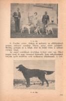 [Zumpf János:
Vadászok zsebkönyve.]
[Budapest, 1947. Faust kiadás - Szikra Nyomdai Rt.] [3]-207 + ...