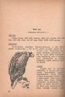 [Zumpf János:
Vadászok zsebkönyve.]
[Budapest, 1947. Faust kiadás - Szikra Nyomdai Rt.] [3]-207 + ...