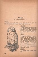 [Zumpf János:
Vadászok zsebkönyve.]
[Budapest, 1947. Faust kiadás - Szikra Nyomdai Rt.] [3]-207 + ...