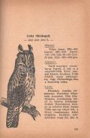[Zumpf János:
Vadászok zsebkönyve.]
[Budapest, 1947. Faust kiadás - Szikra Nyomdai Rt.] [3]-207 + ...