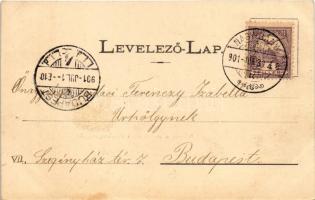 1901 Nagybánya, Baia Mare; Római katolikus templom, Széchenyi liget, Szent István torony. Kovács Gyu...