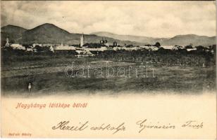1900 Nagybánya, Baia Mare; látkép délről. Molnár Mihály kiadása / general view (EK)