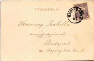 1900 Nagybánya, Baia Mare; látkép délről. Molnár Mihály kiadása / general view (EK)